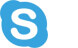 Skype Icon